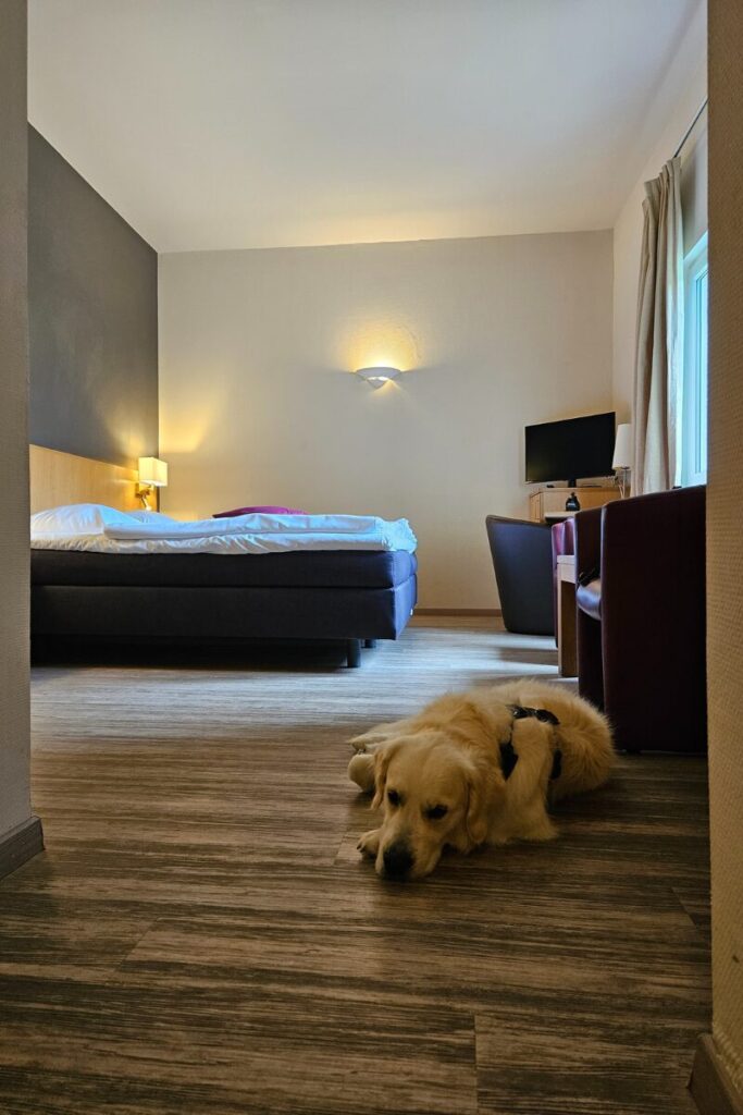 hotel bourscheid luxemburg hond 2