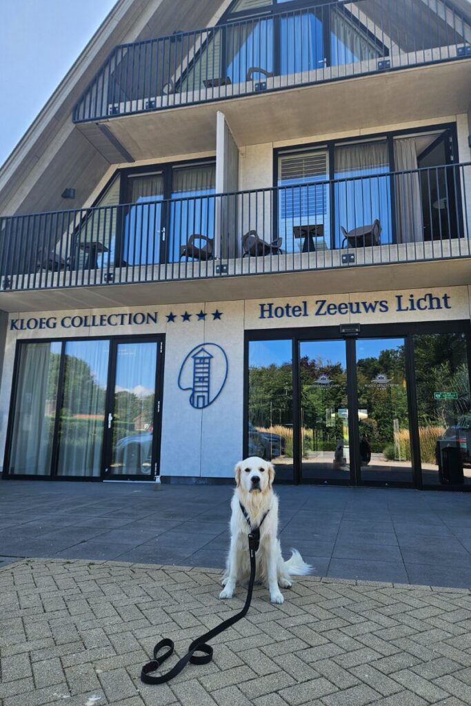 hotel zeeland hond 1