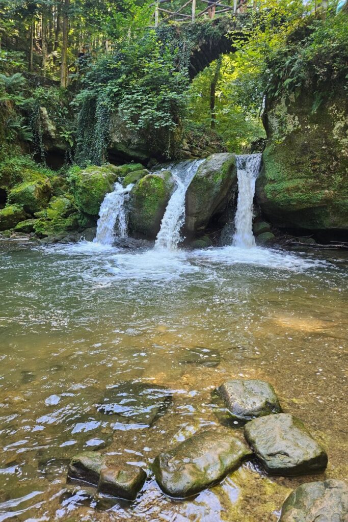 mullerthal trail w6 w7 luxemburg hond 2