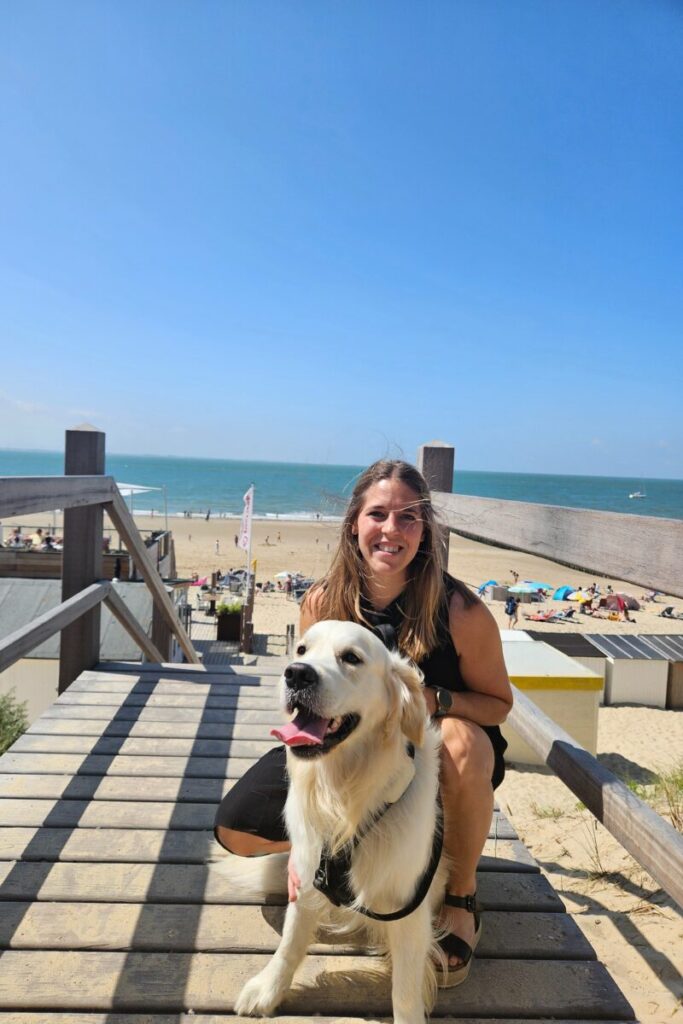 strand dishoek zeeland hond 2