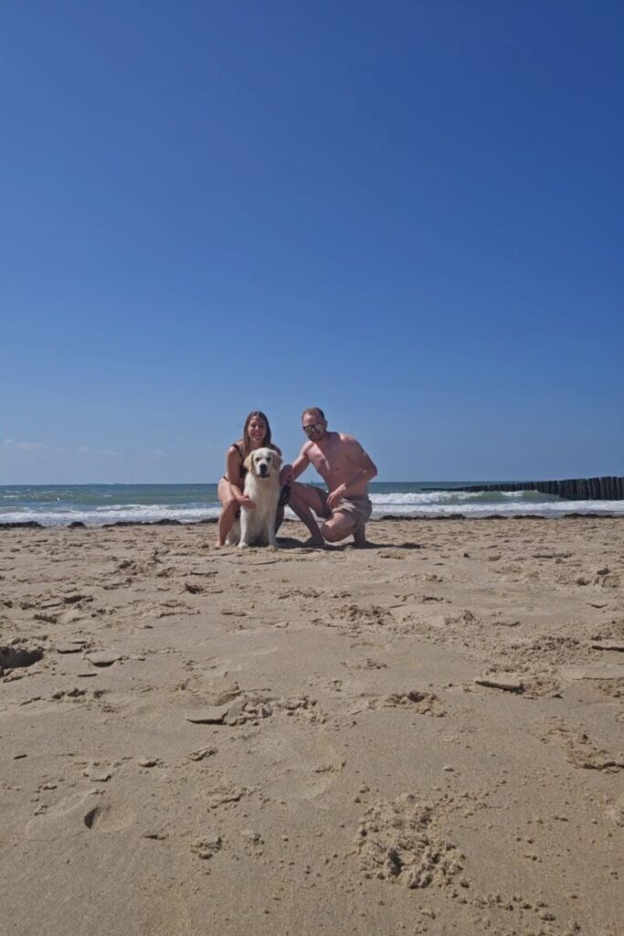 strand dishoek zeeland hond 5