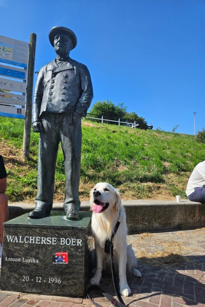 zoutelande zeeland hond 2